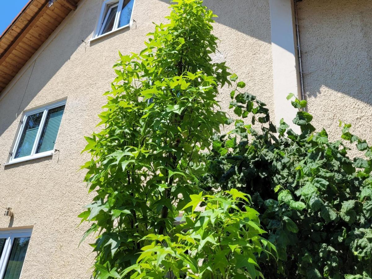 I24Rooms - Gaestezimmer Mit Eigenem Garten Legau Εξωτερικό φωτογραφία