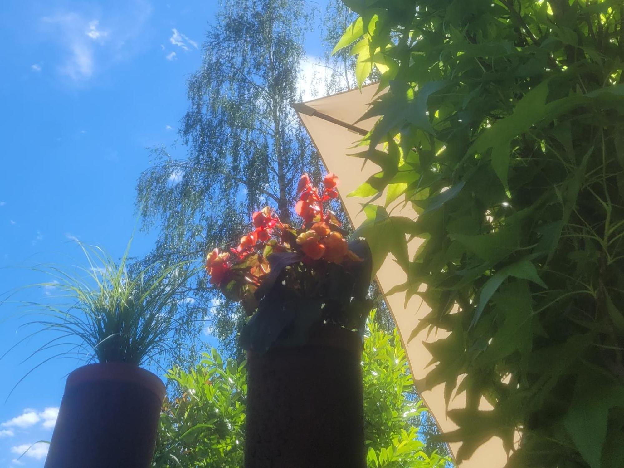 I24Rooms - Gaestezimmer Mit Eigenem Garten Legau Εξωτερικό φωτογραφία